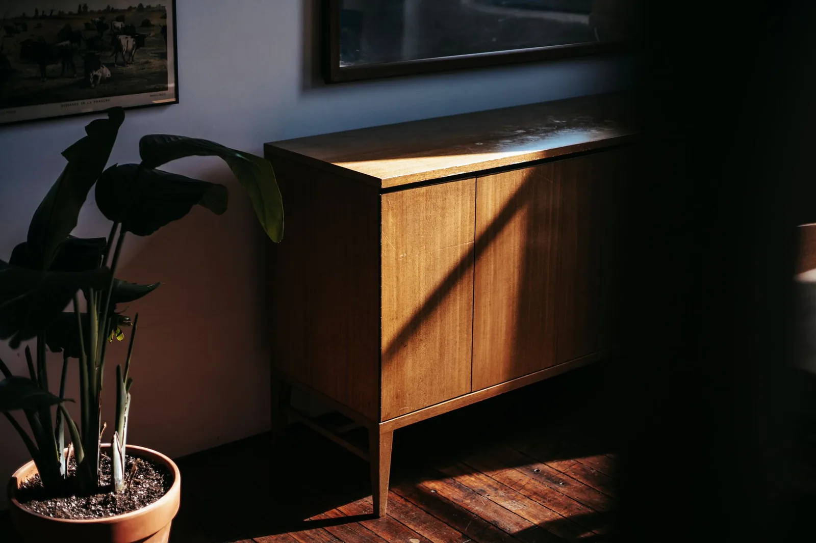 Una credenza di legno attraversata da un fascio di luce, accanto a una pianta in un vaso