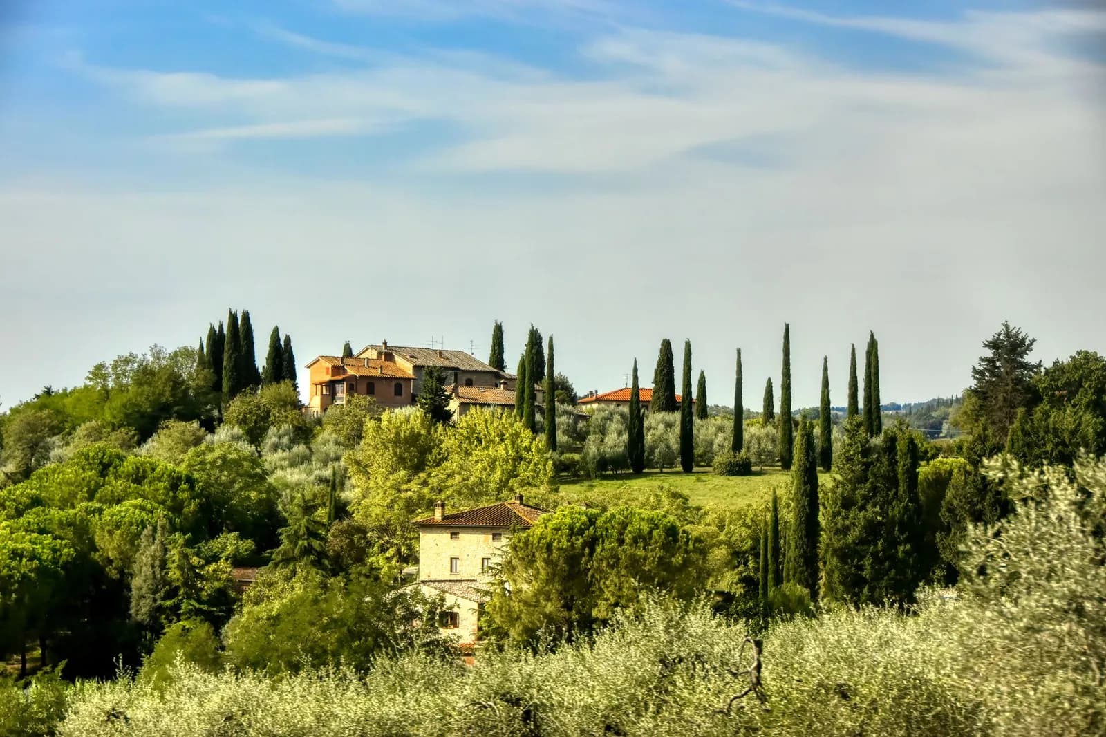 Colline con una villa, cipressi e ulivi sotto un cielo chiaro, nei dintorni di Firenze.